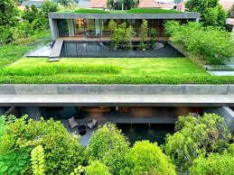 terrasse végétalisée