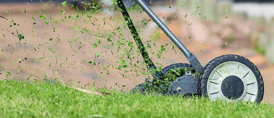 Déchaumage de pelouse : Quand, comment et quels avantages ?