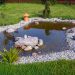 Comment décorer votre bassin de jardin ?