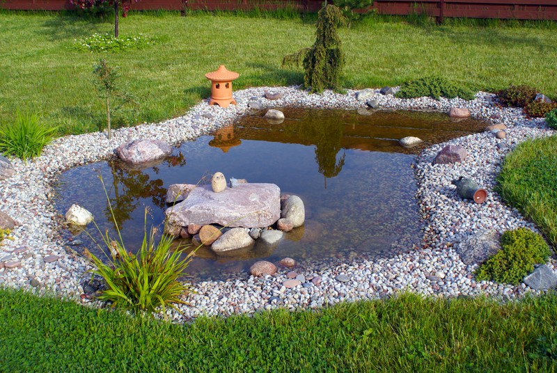 Comment décorer votre bassin de jardin ?