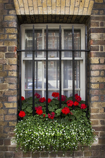 Quelles plantes pour les rebords de fenêtre ?