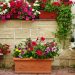 Où acheter des plantes artificielles pour décorer votre habitation ?