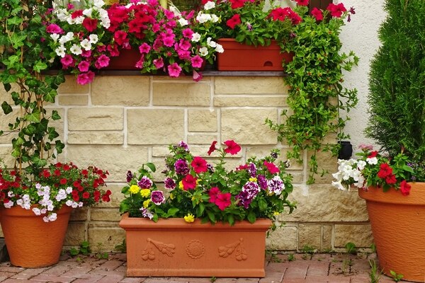 Où acheter des plantes artificielles pour décorer votre habitation ?