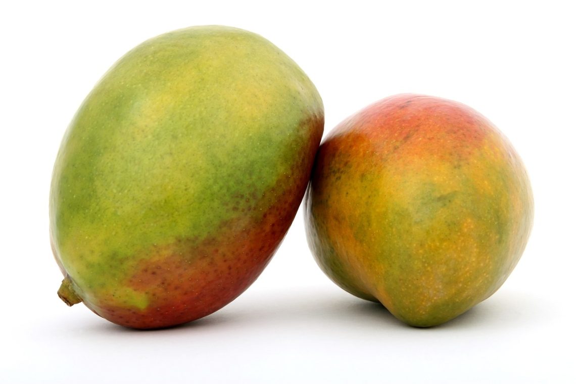 noyau de mangue