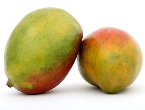noyau de mangue