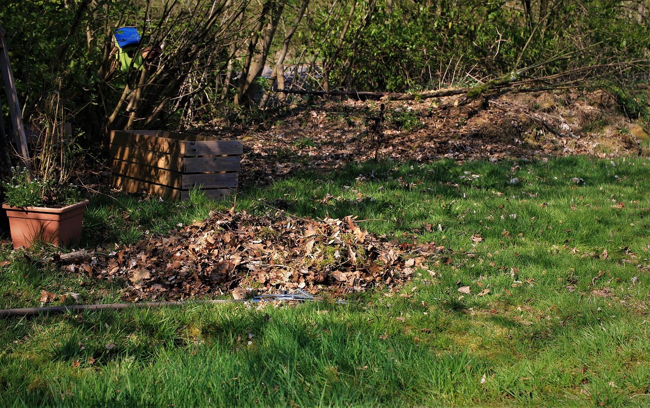 entretien de jardin au printemps : conseils pratiques pour préparer et embellir votre espace extérieur après l'hiver.