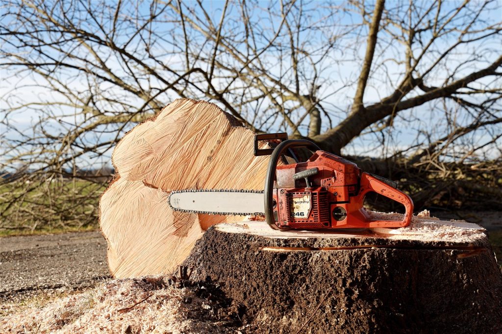 découvrez les risques associés à la taille des arbres, les précautions à prendre et comment assurer la santé et la sécurité de vos végétaux lors de cette opération.